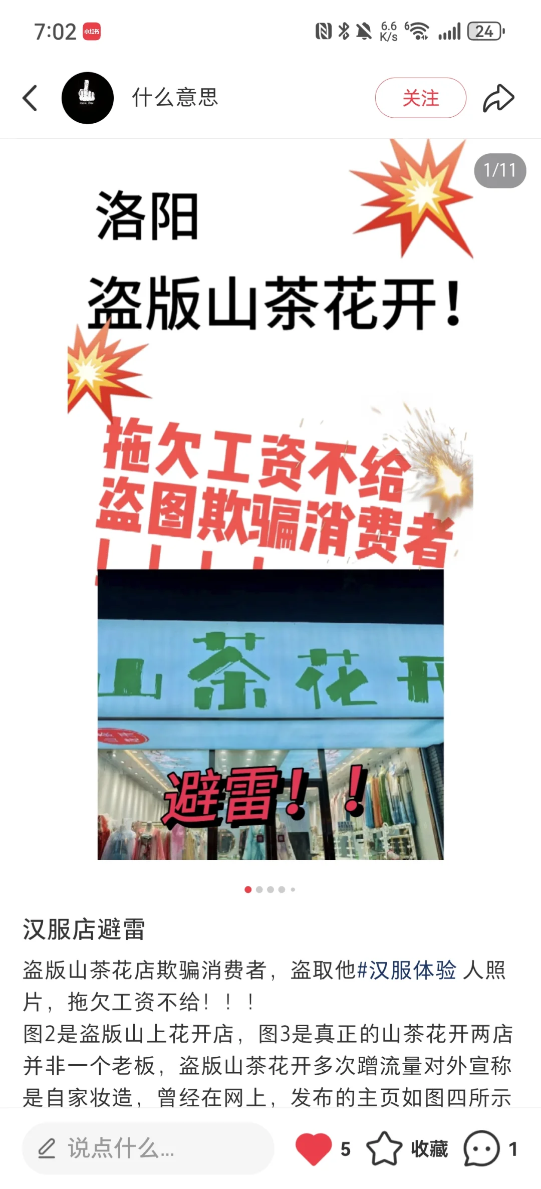 汉服店避雷洛阳山茶花开