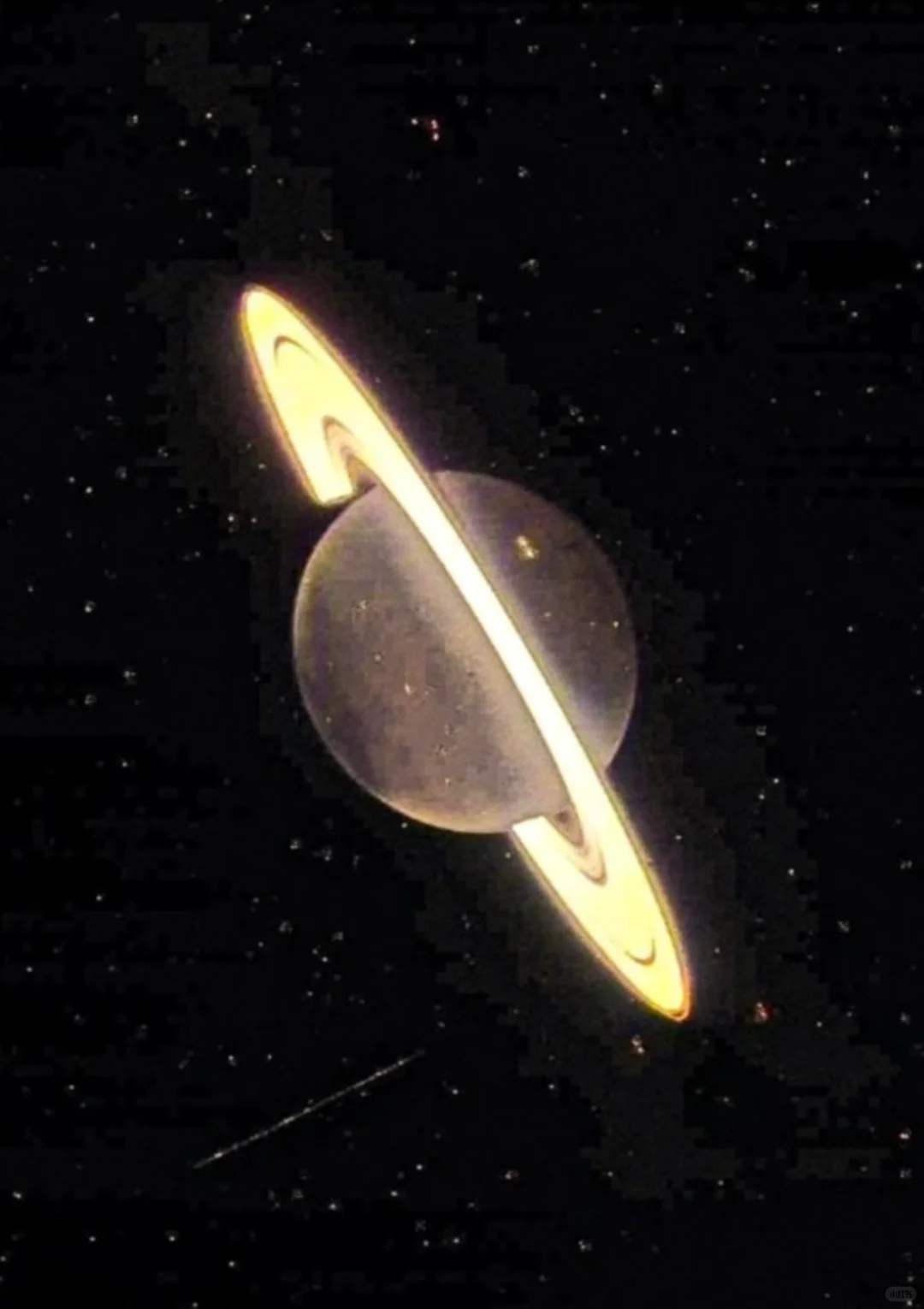 真来了 咱们躲哪？👽