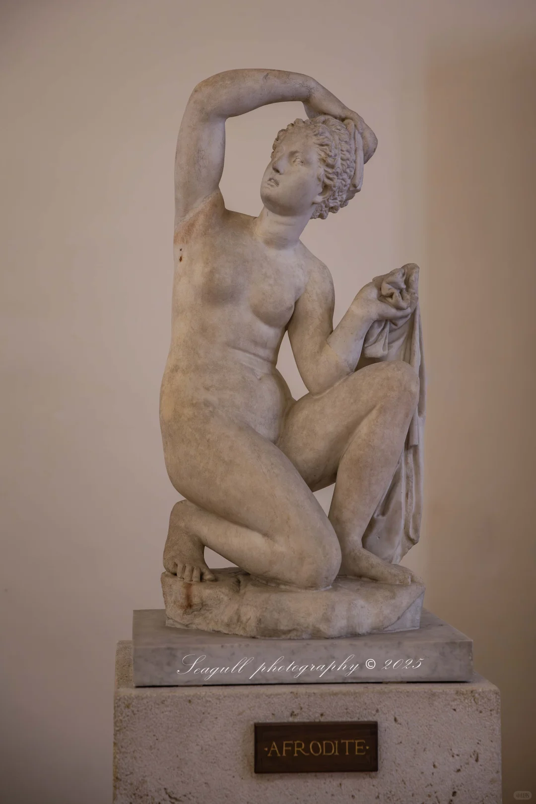 罗马的维纳斯浓度同样很高