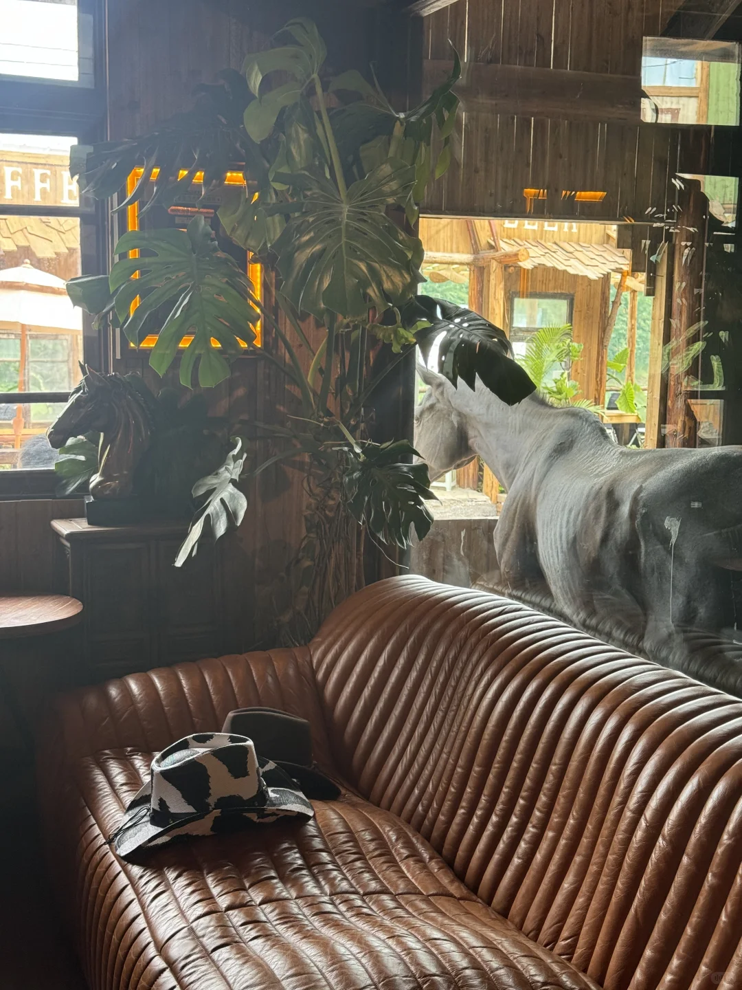 ๐ด๐ ๐๐๐
๐ฉ๐๐๐๐ ๐น๐๐๐ ๐ค๐น