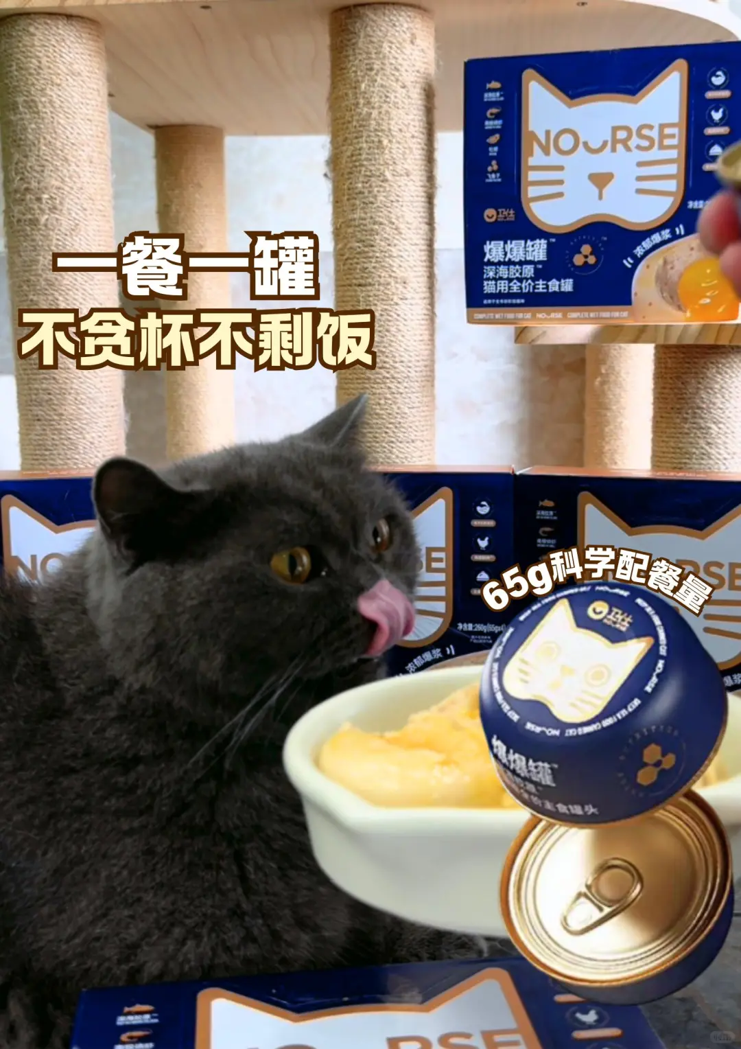 太诱人!卫仕爆爆湿粮就是猫届巴斯克!