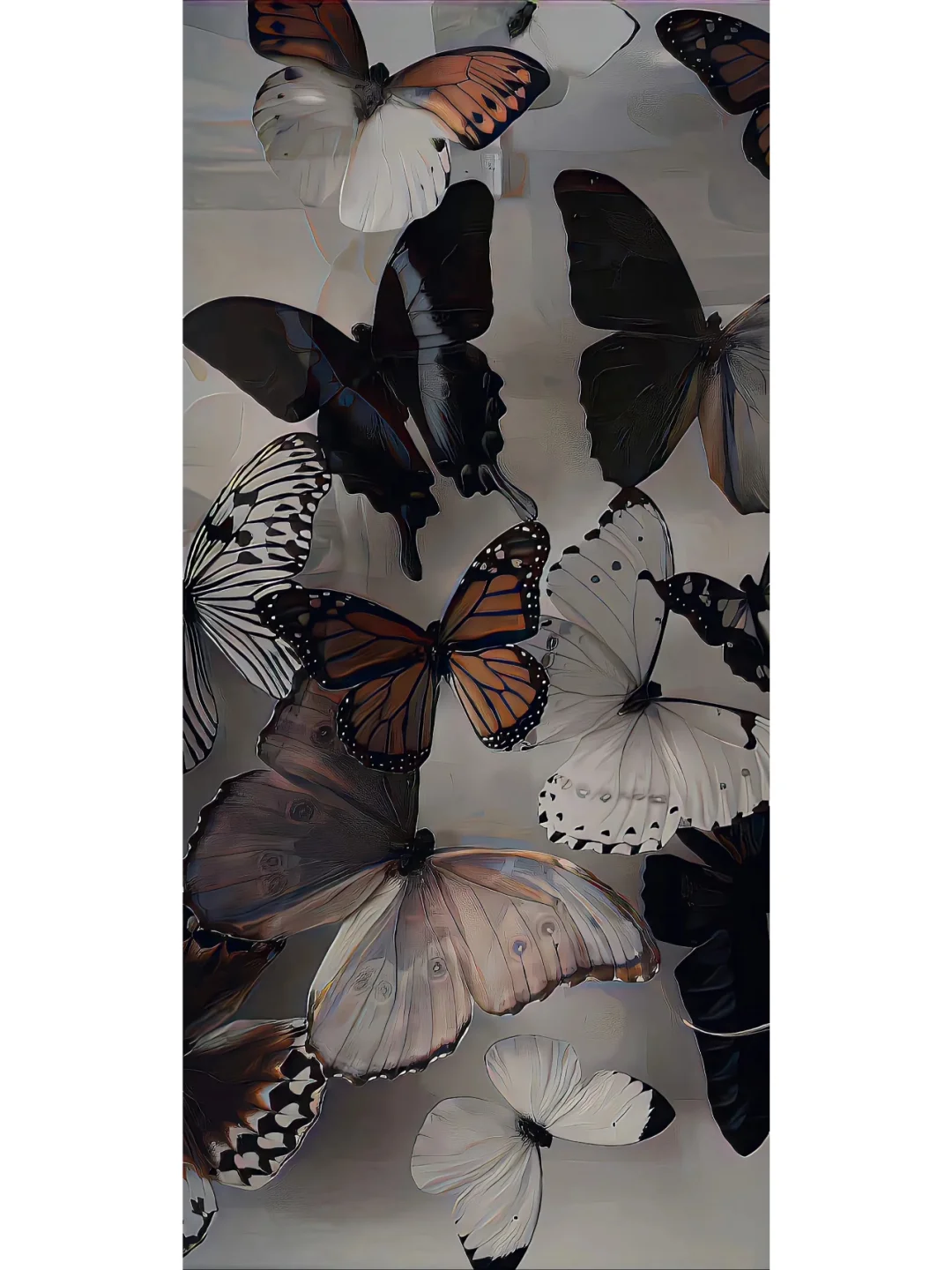 iPhone| nis高清壁纸