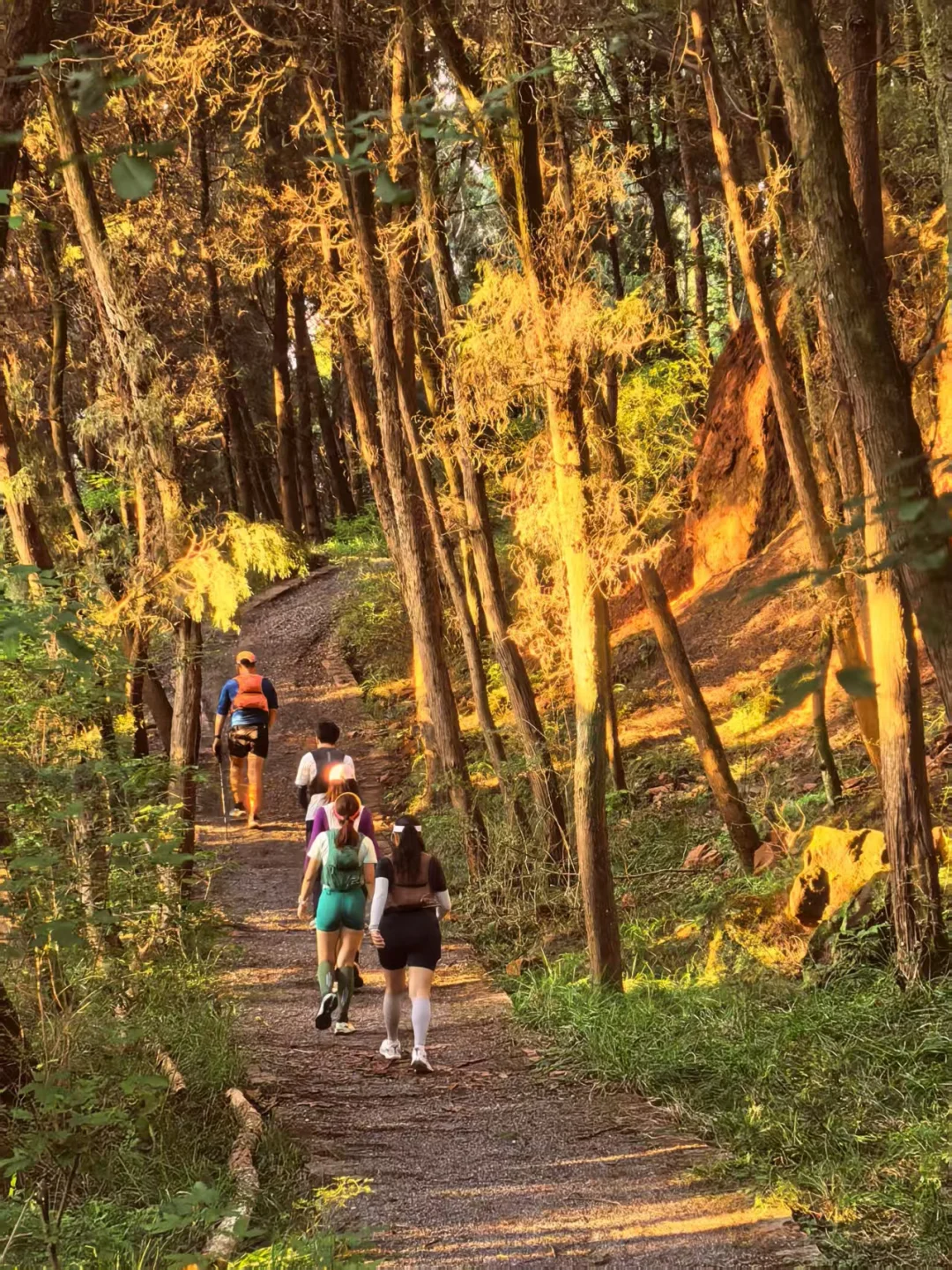走,金堂🏃♀️我和我的跑山搭子们~