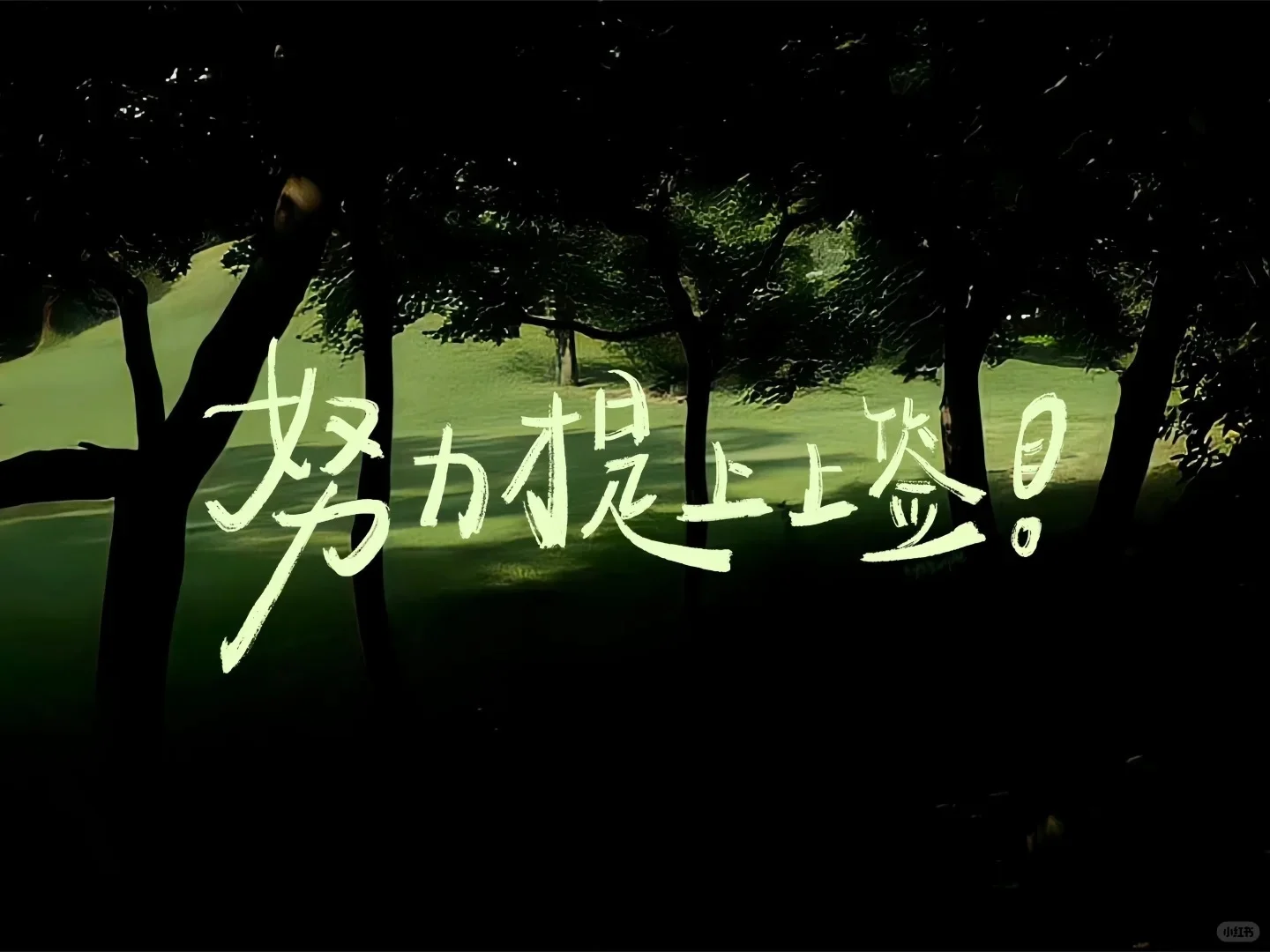 学习励志iPad电脑壁纸1️⃣