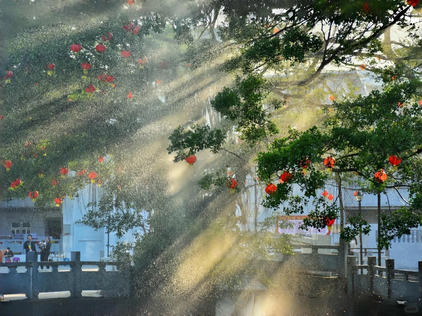 𝐬𝐡𝐚𝐫𝐞|超好看的治愈系iPad壁纸