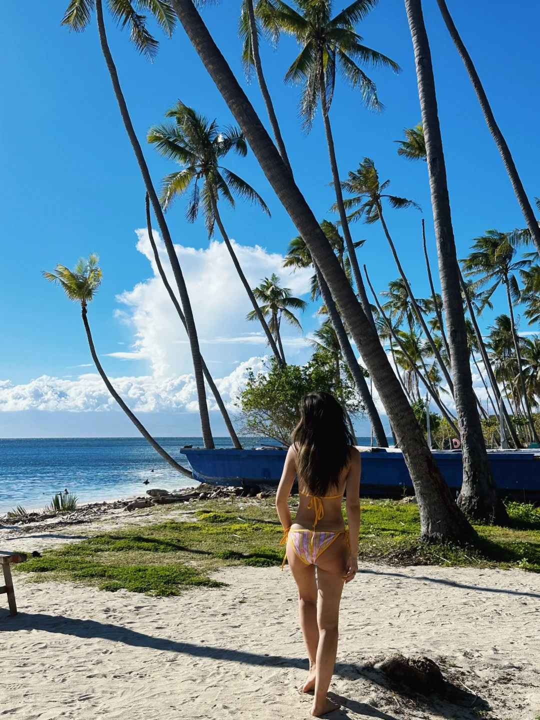 太好了是穿衣自由🏝️