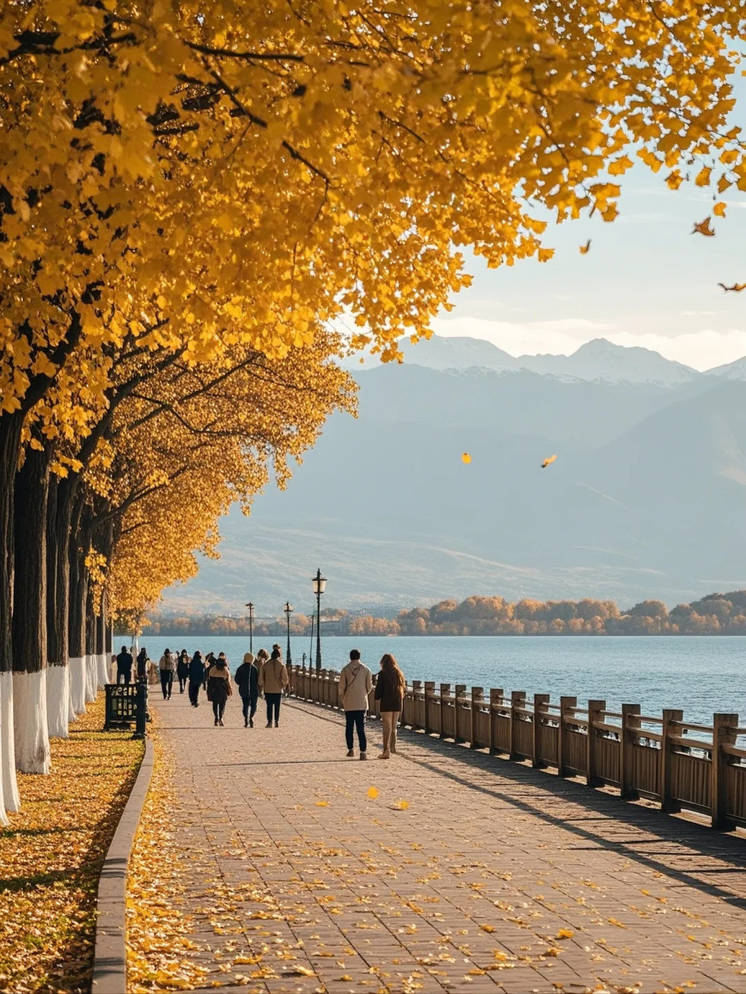 秋日公园图文背景图