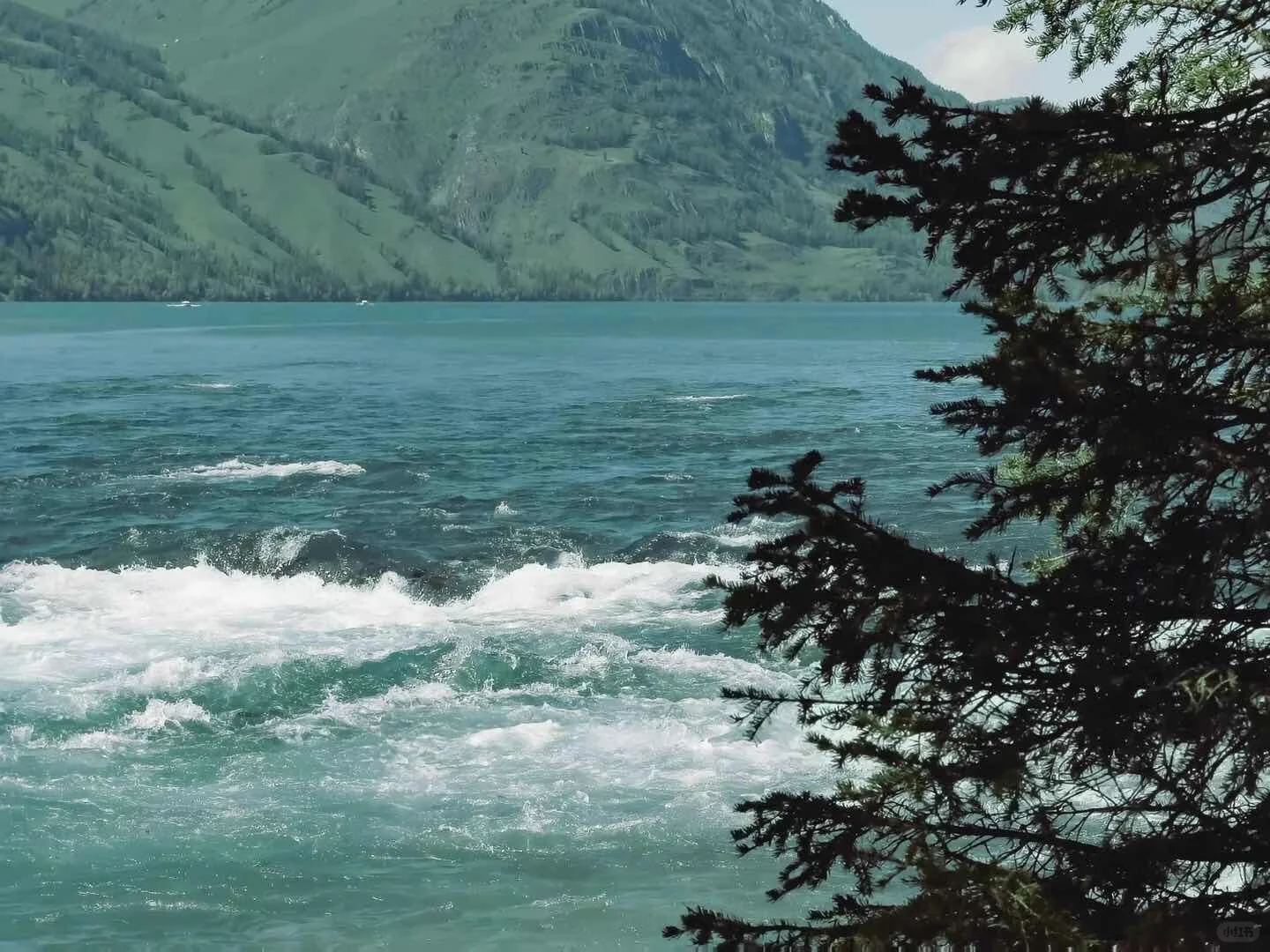 𝐬𝐡𝐚𝐫𝐞|超好看的治愈系iPad壁纸