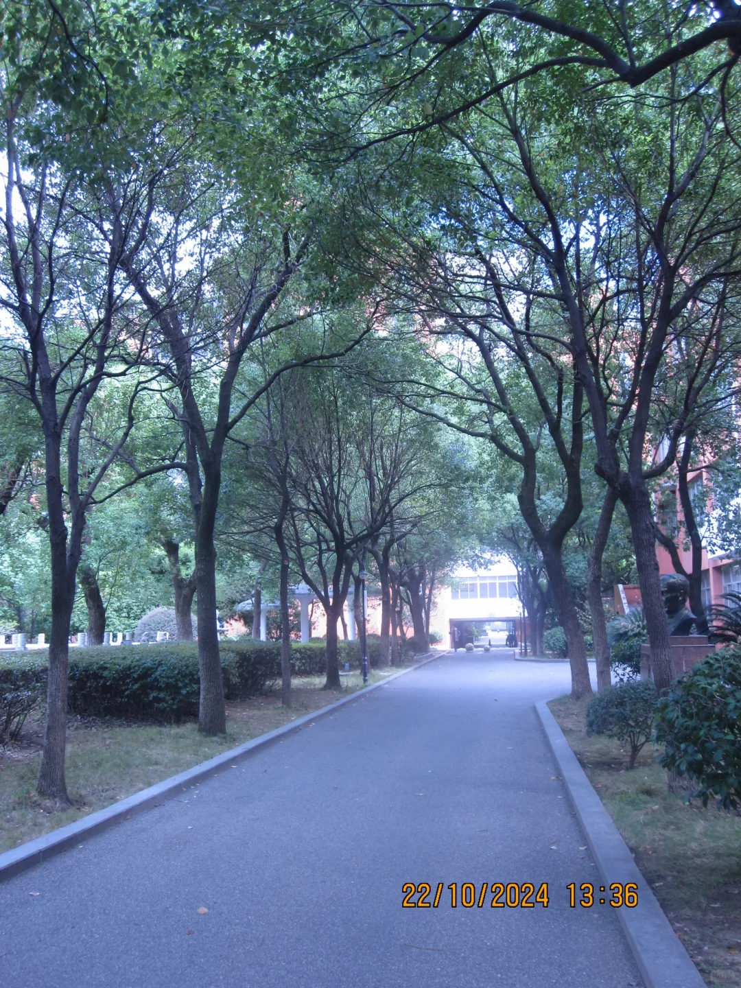 好像拍到了青春里最明亮的瞬间📸