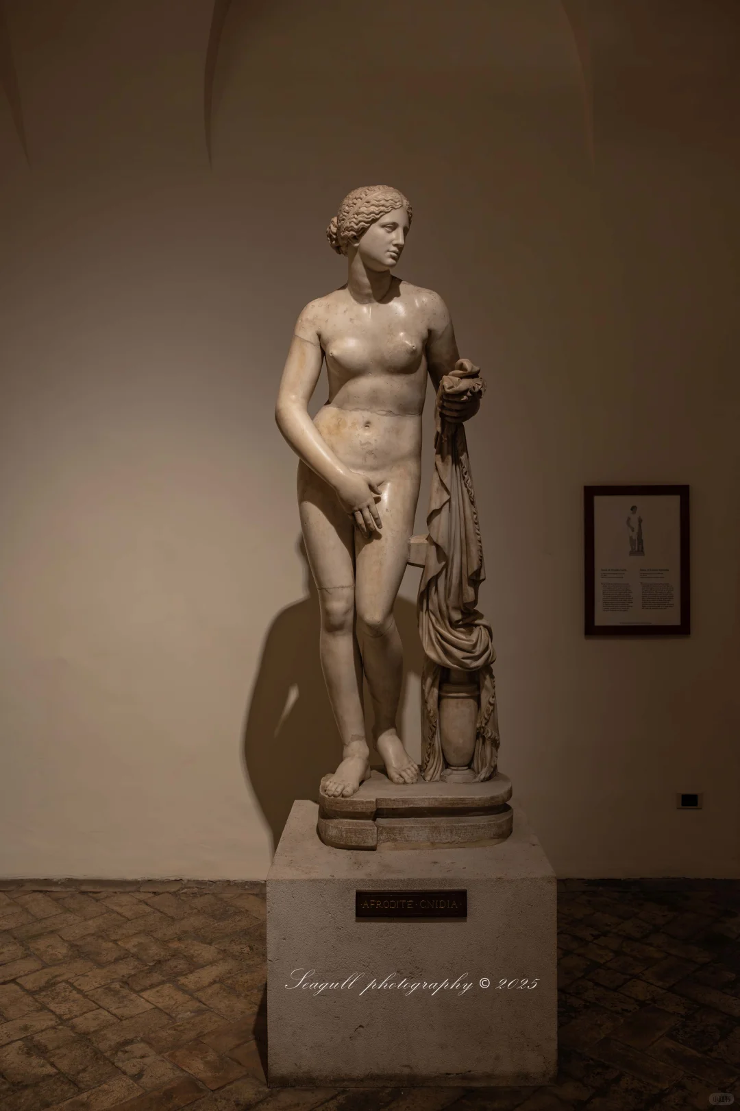 罗马的维纳斯浓度同样很高