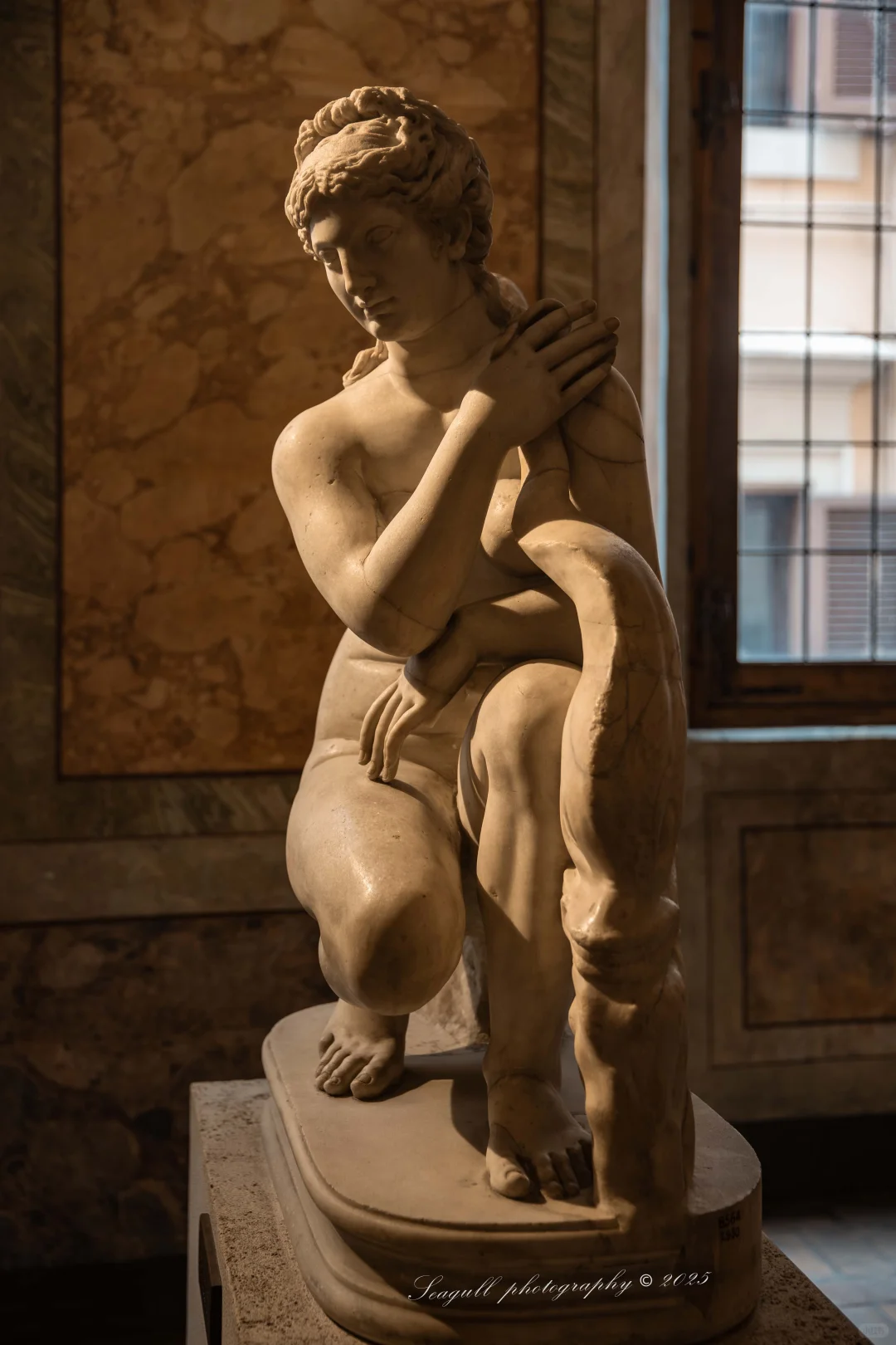 罗马的维纳斯浓度同样很高