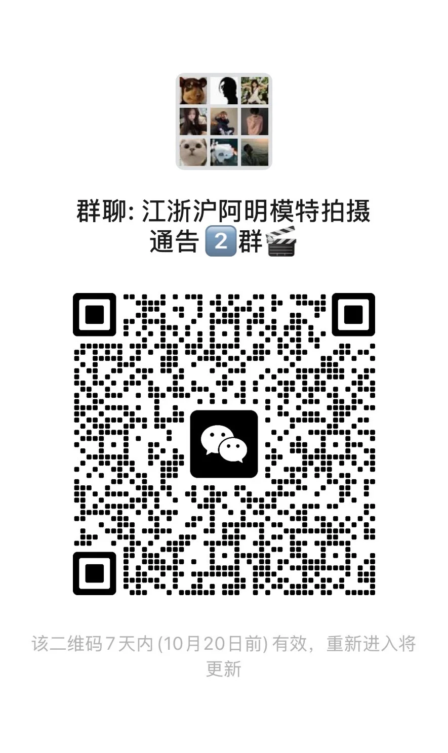 江浙沪礼仪模特通告群