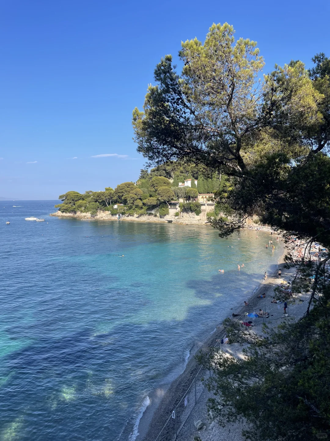 南法之夏🍃“她在尼斯海边，阳光在她身上”