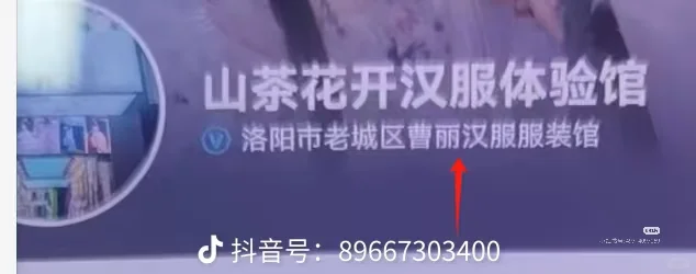 汉服店避雷洛阳山茶花开