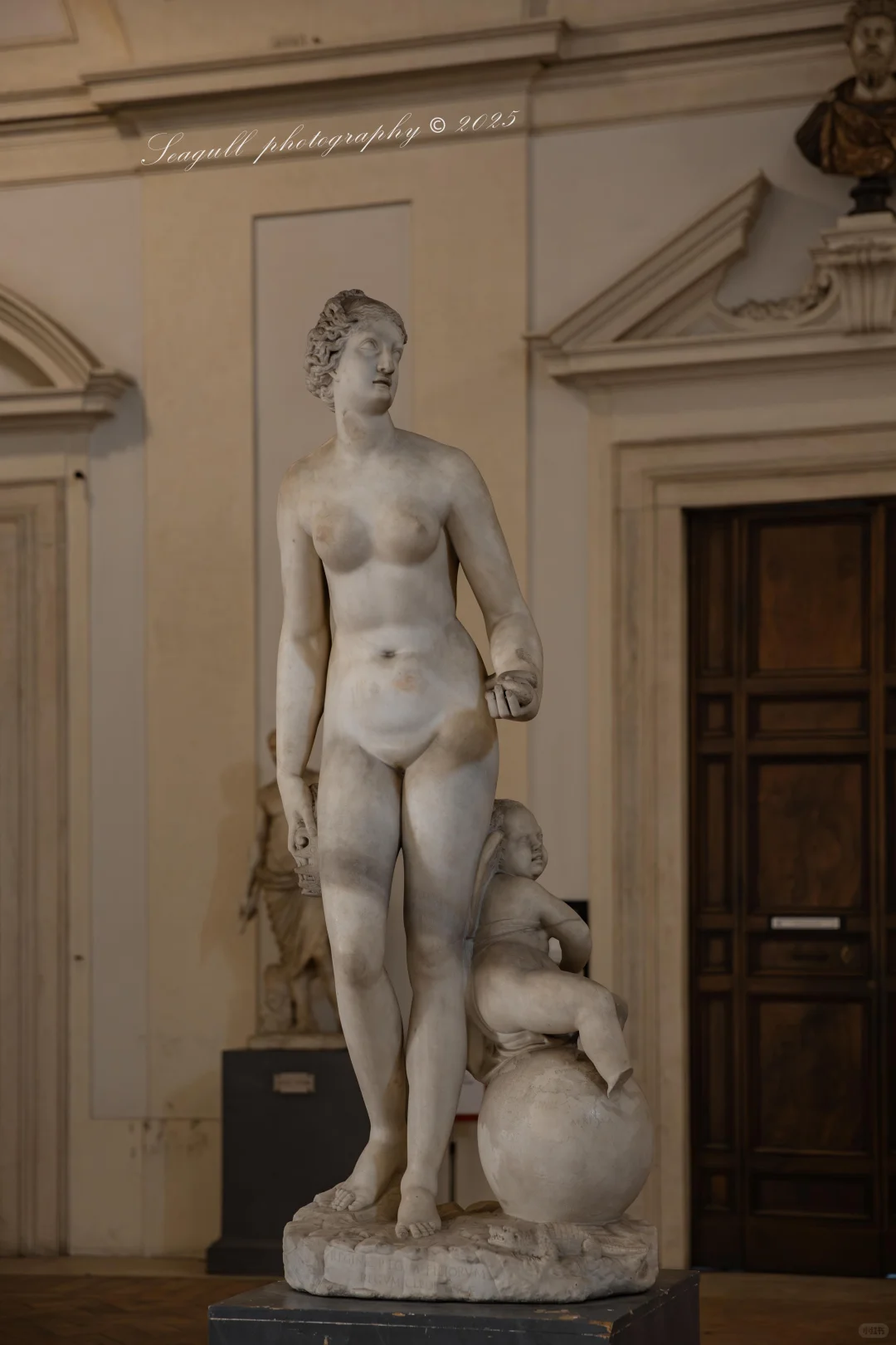 罗马的维纳斯浓度同样很高