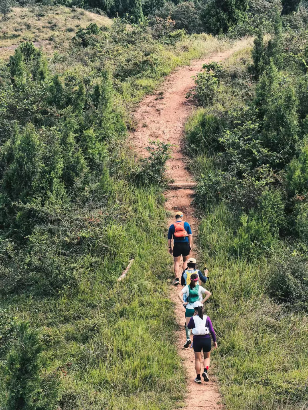 走,金堂🏃♀️我和我的跑山搭子们~