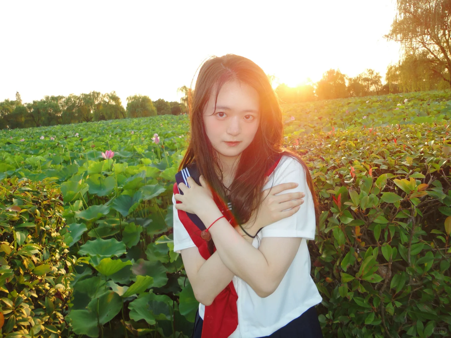 她属于森林