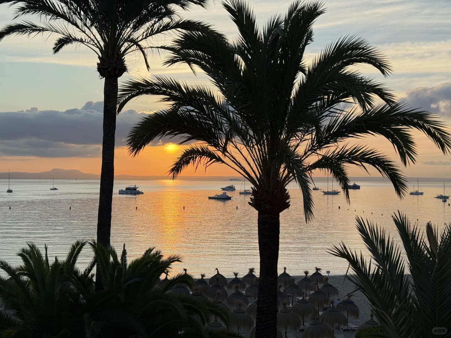 Palma自由海岛女孩🐚