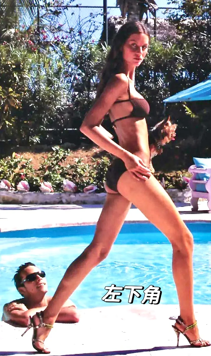 吉赛尔邦辰:所谓线条—曲线与直线