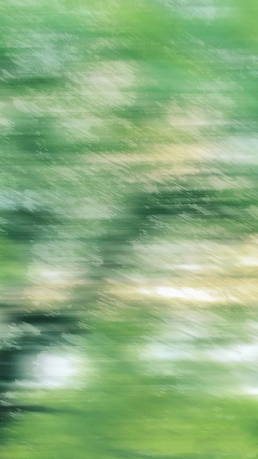 📷婚礼美照试试排版发朋友圈❗️附背景素材✨