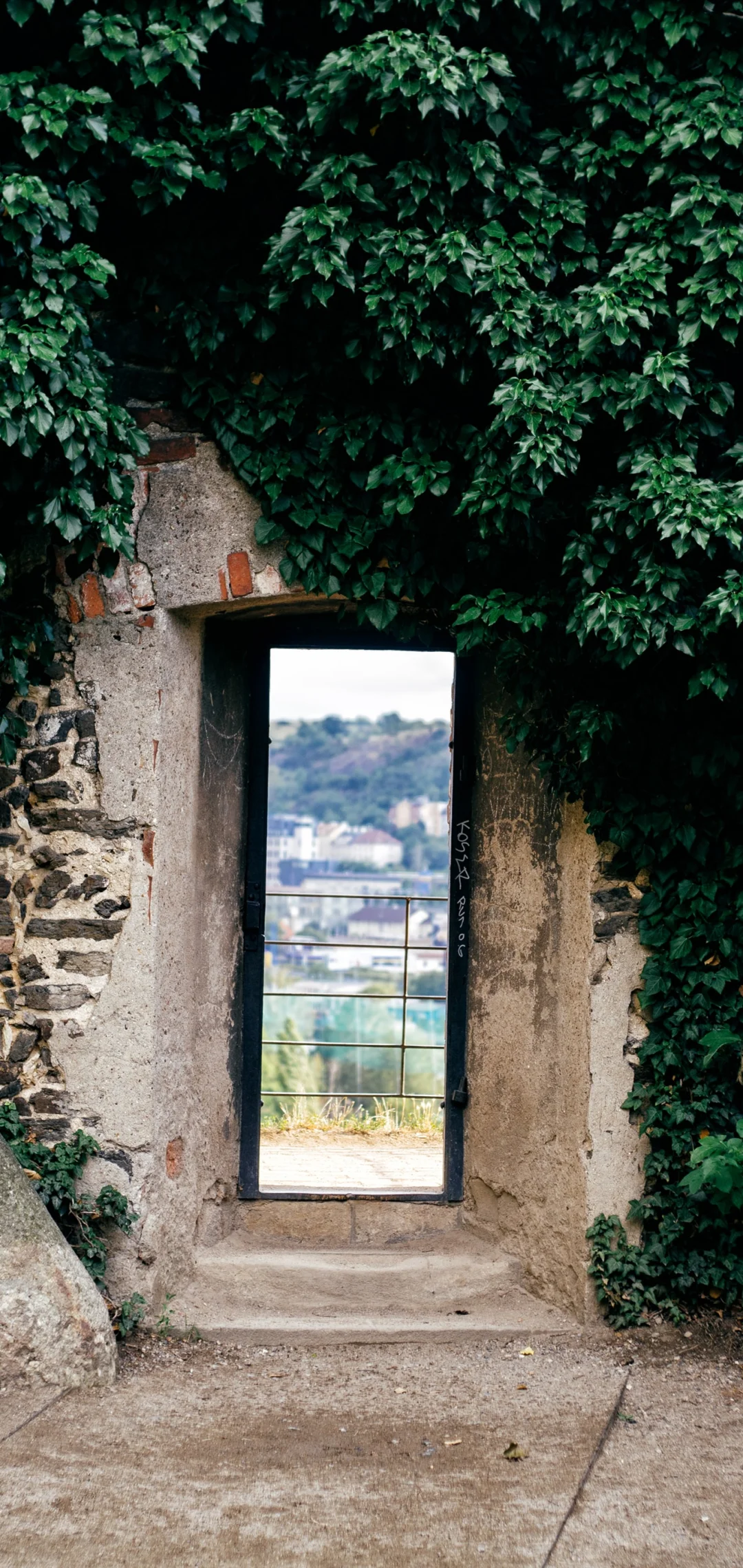 绿色风景护眼全屏壁纸