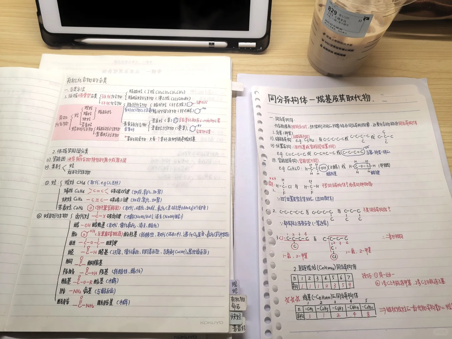 吉伊陪妈妈学习 吉伊好 ˃̵ ֊ ˂̵