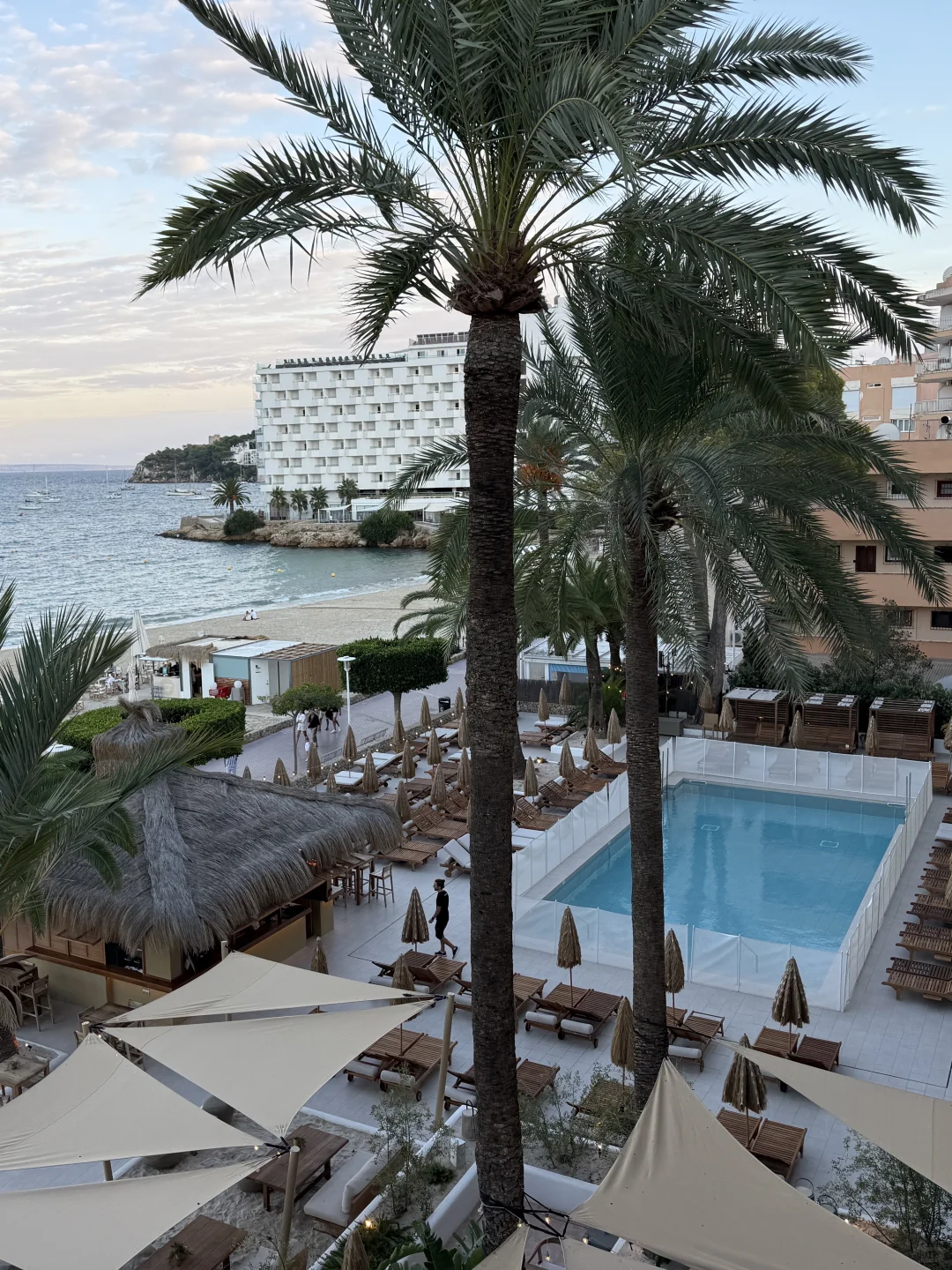 Palma自由海岛女孩🐚