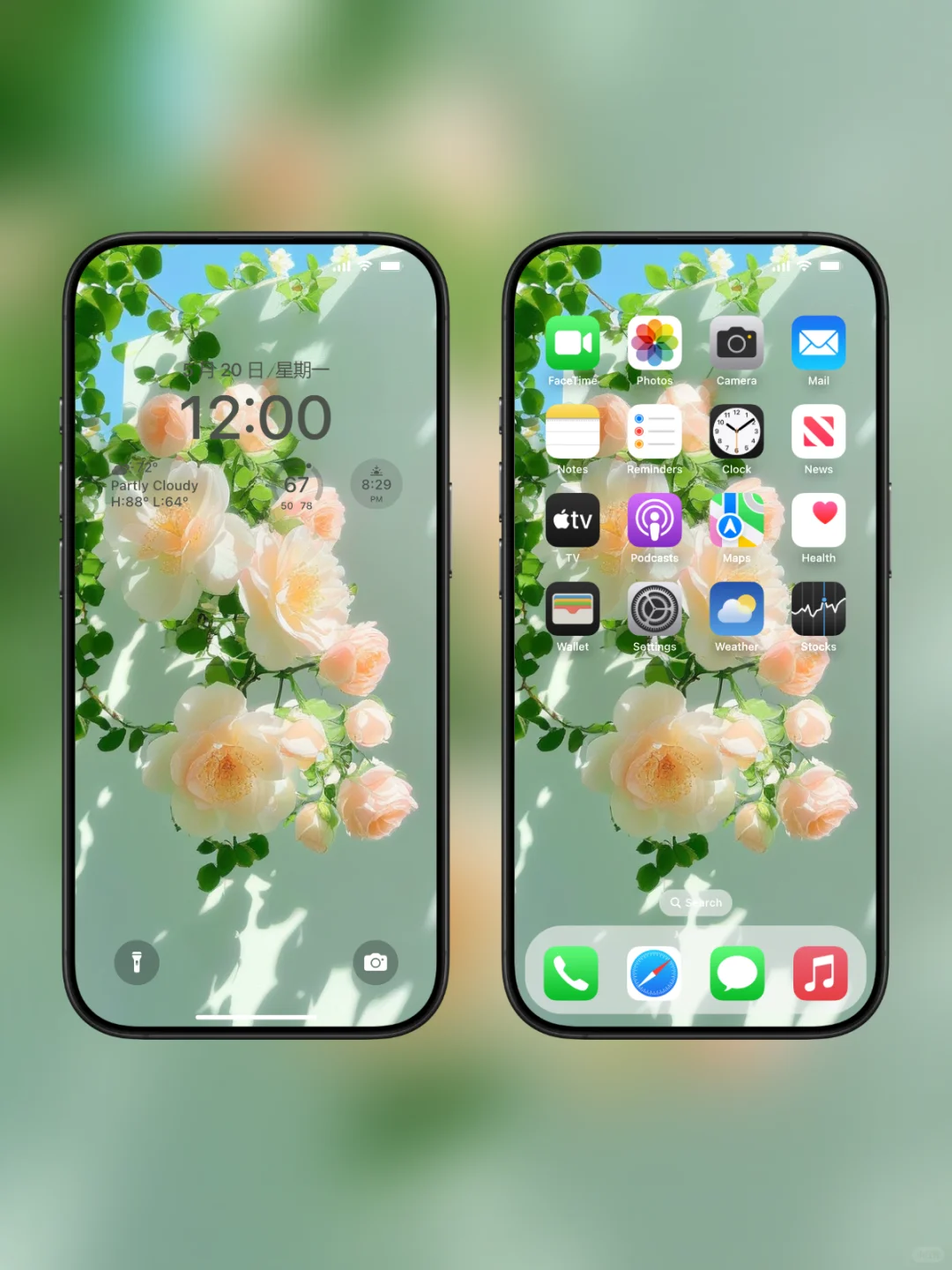 016绿色心情‖手机壁纸