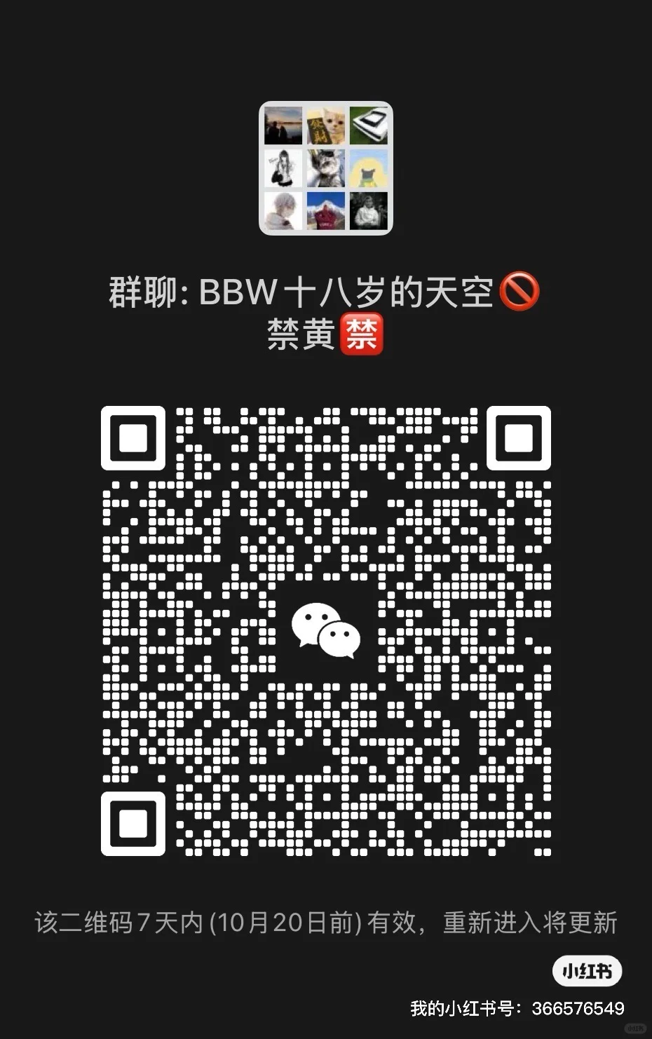 bbw美女一起玩呀！