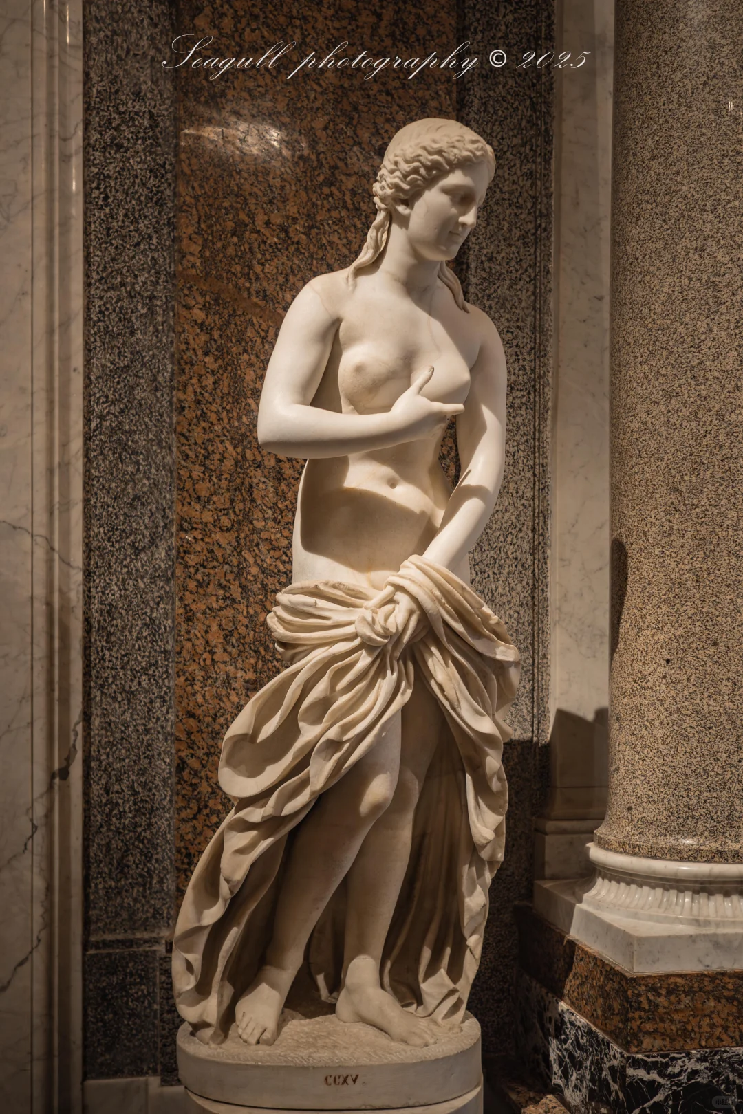 罗马的维纳斯浓度同样很高