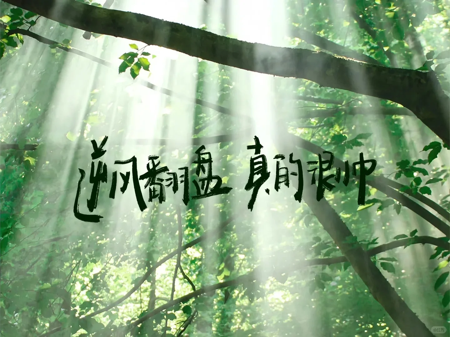 学习励志iPad电脑壁纸1️⃣