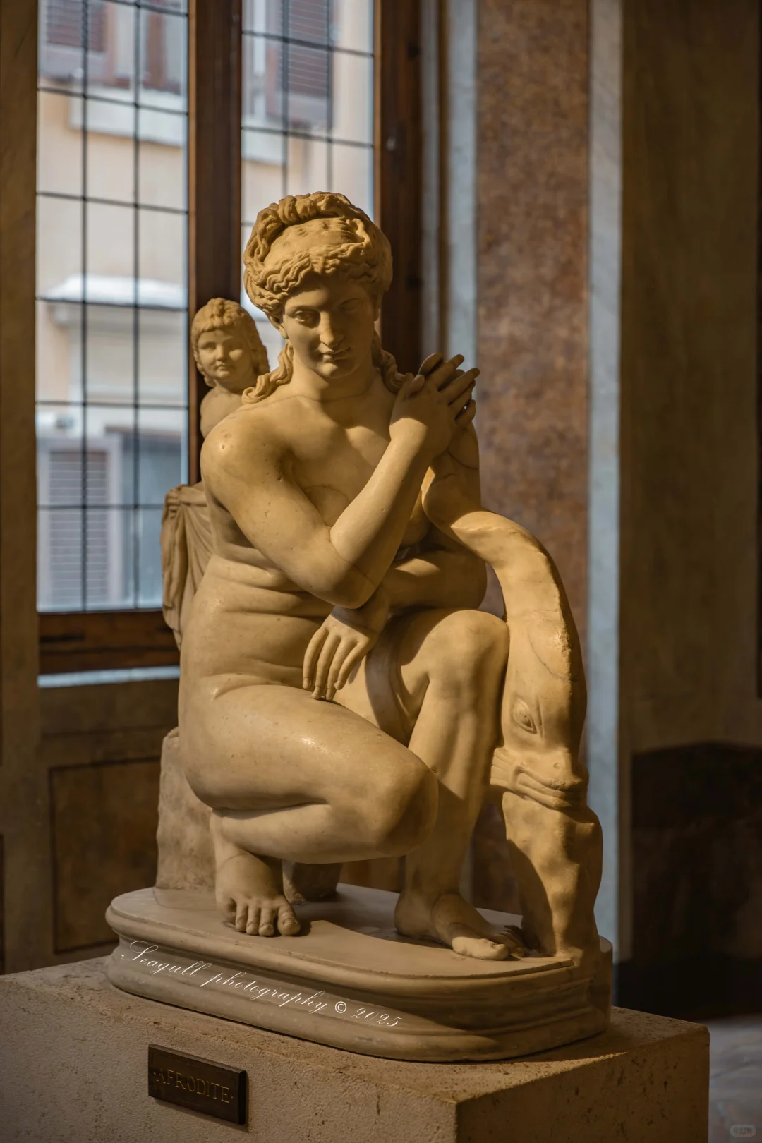 罗马的维纳斯浓度同样很高