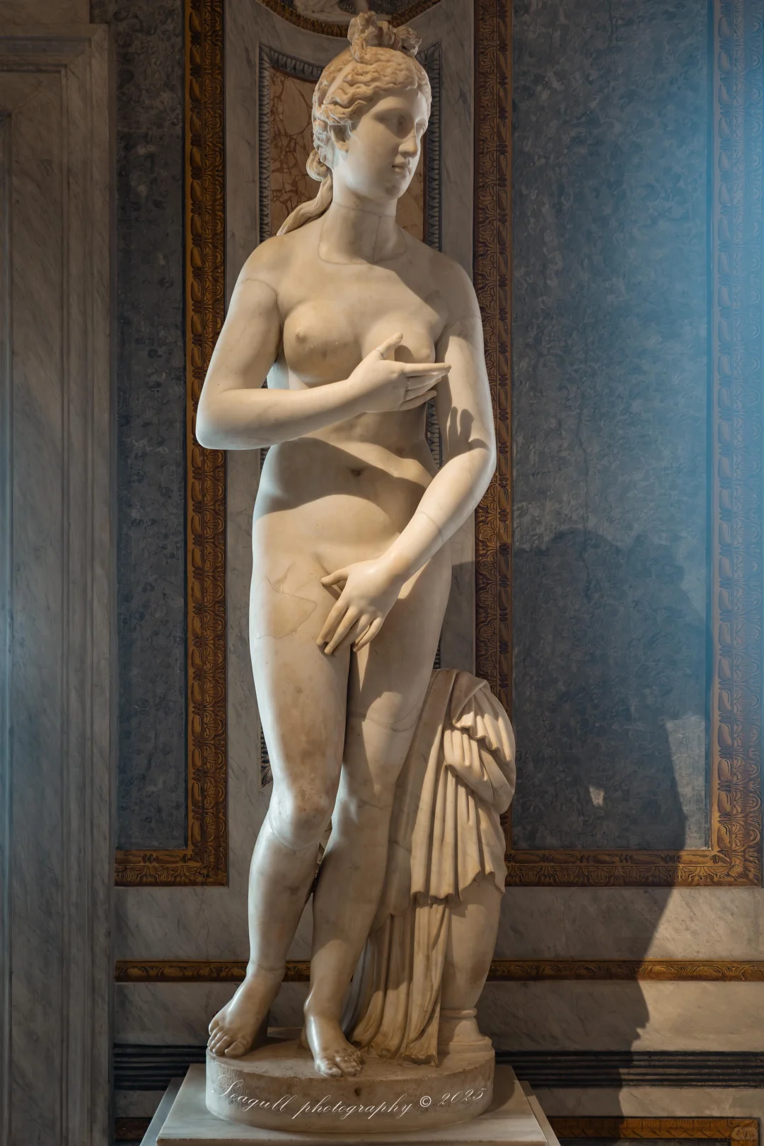 罗马的维纳斯浓度同样很高