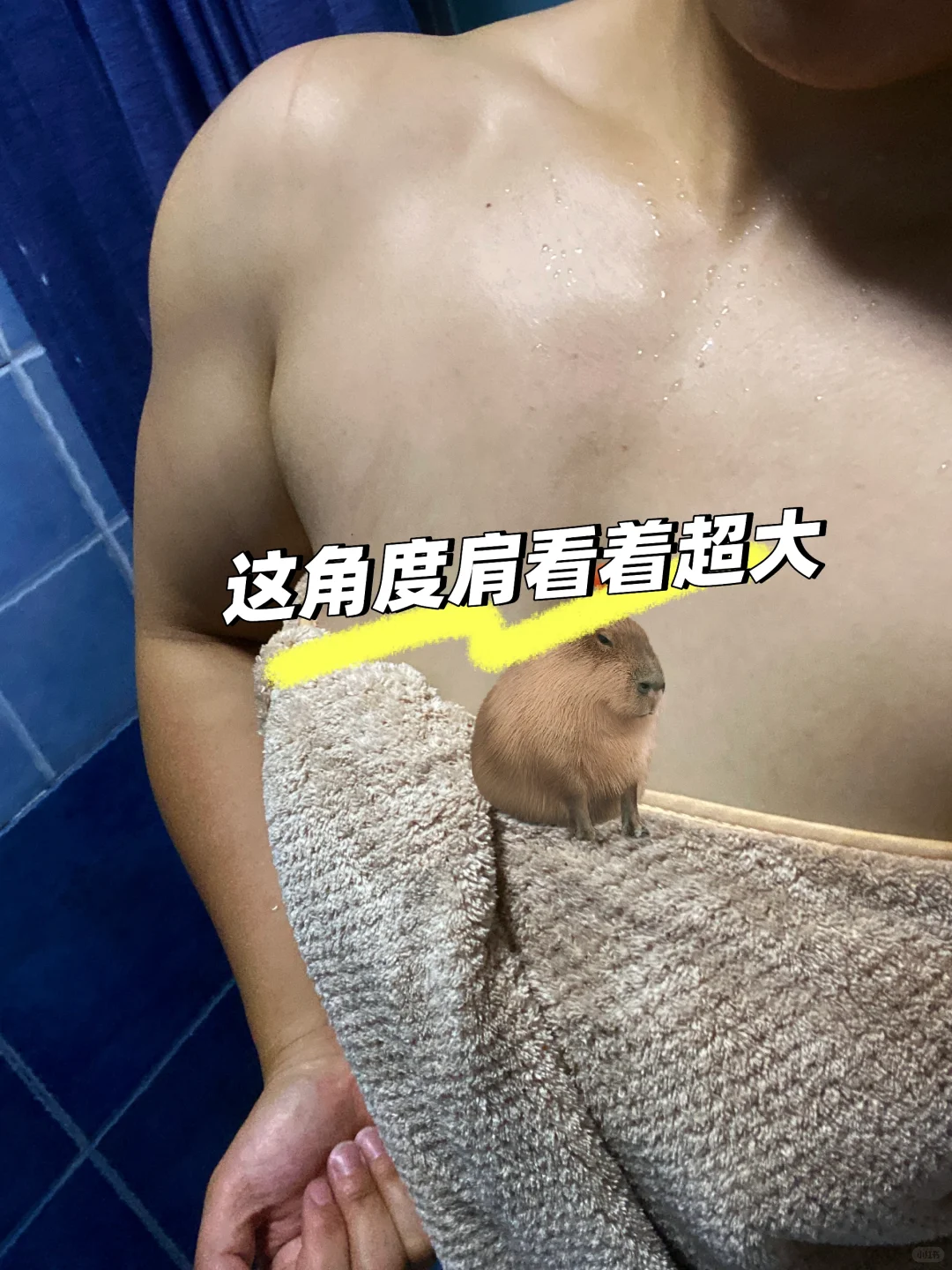高体脂小肌肉的倔强
