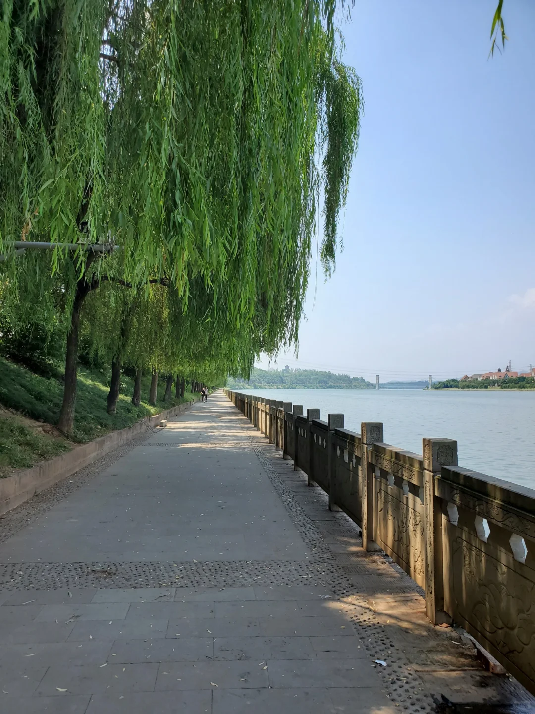 消失的森宇集团和散在角落的海棠湾