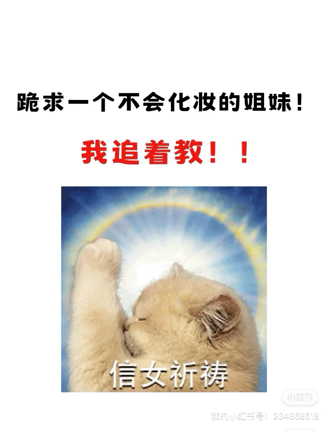 方圆脸才是掌握氛围感的神!