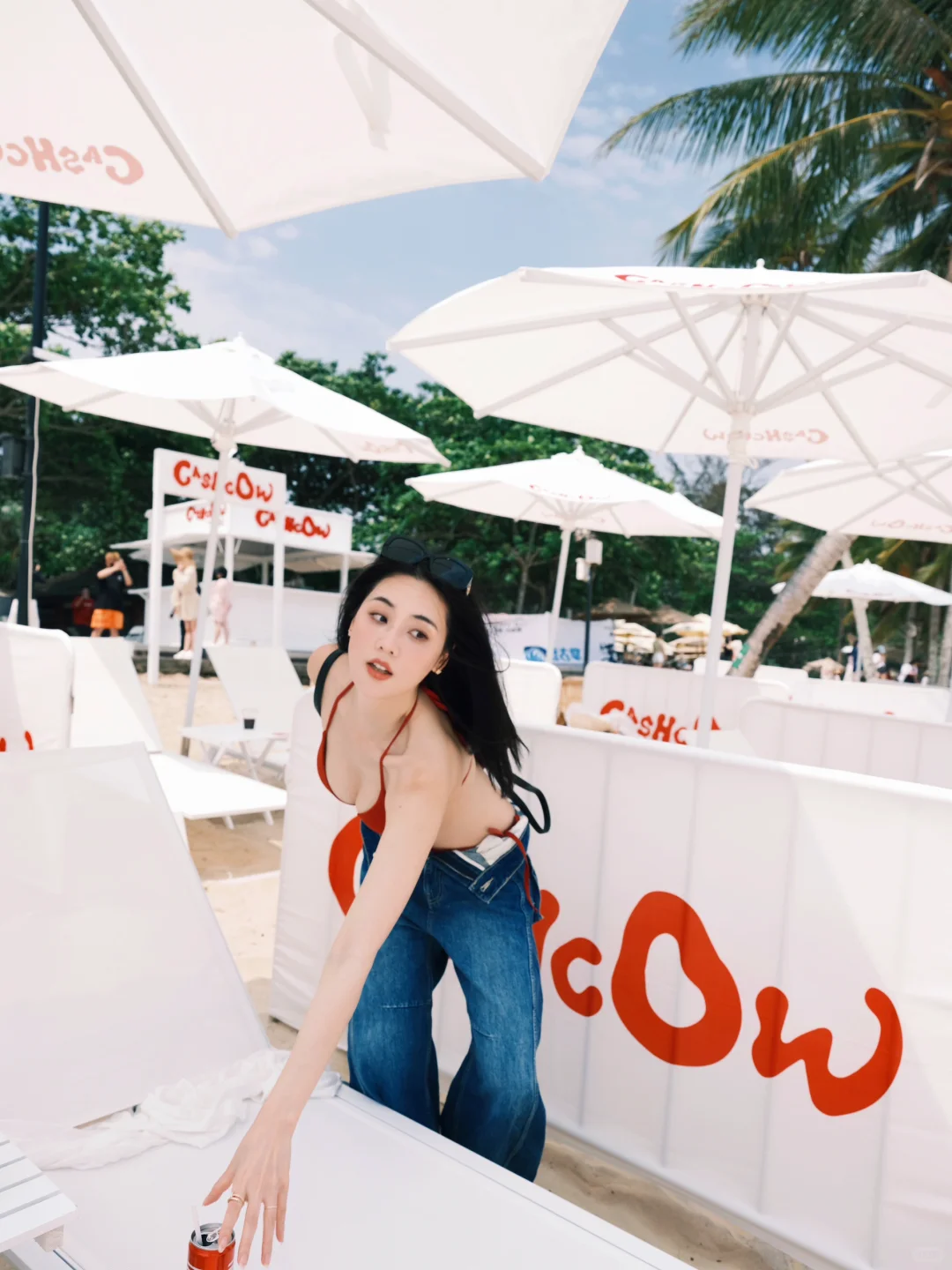 自由小狗正在上岛🏖️