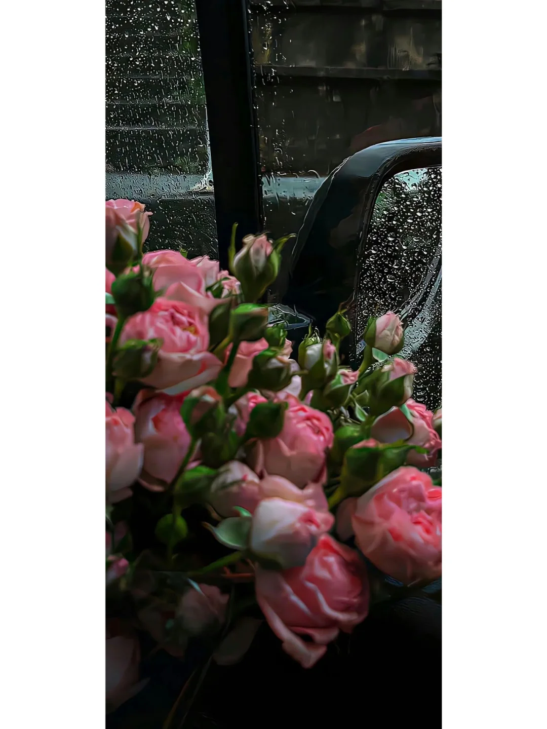 iPhone| nis高清壁纸