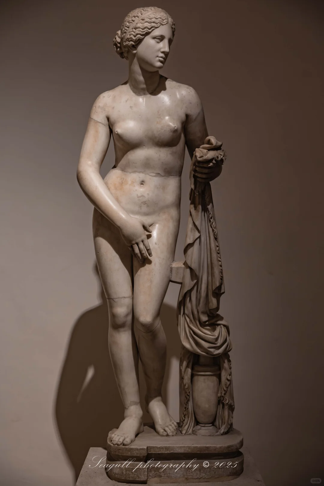 罗马的维纳斯浓度同样很高