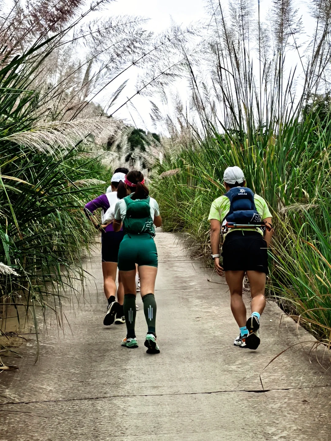 走,金堂🏃♀️我和我的跑山搭子们~