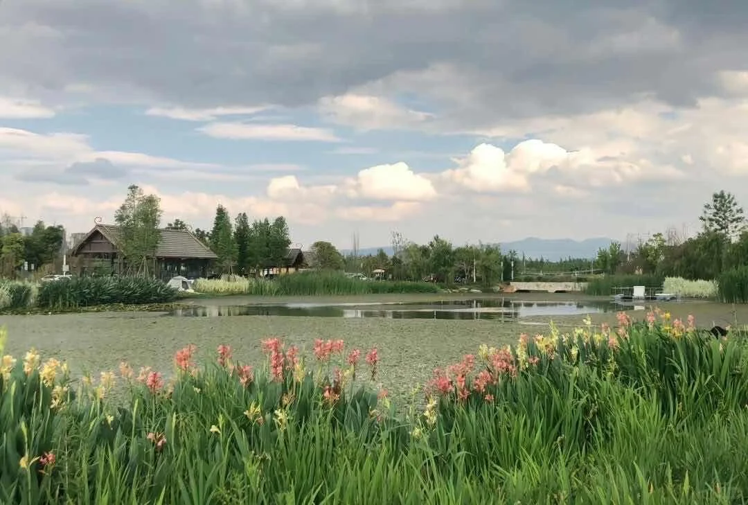 𝐬𝐡𝐚𝐫𝐞|超好看的治愈系iPad壁纸