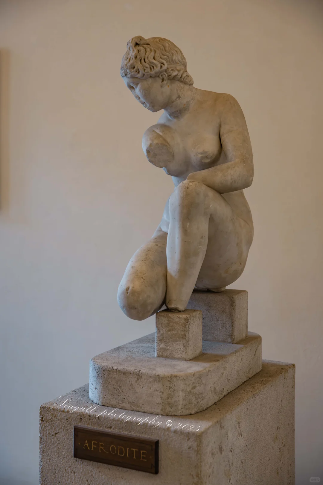 罗马的维纳斯浓度同样很高