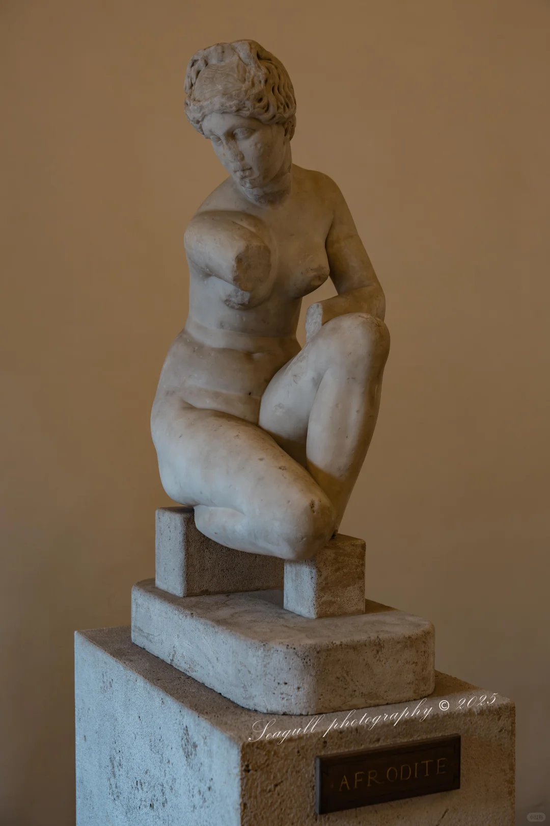 罗马的维纳斯浓度同样很高