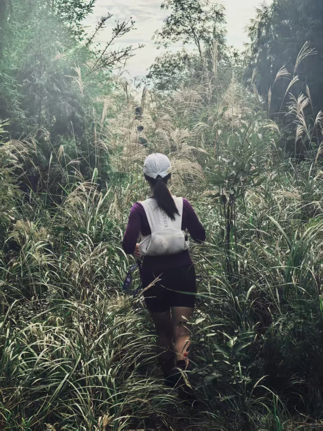 走,金堂🏃♀️我和我的跑山搭子们~