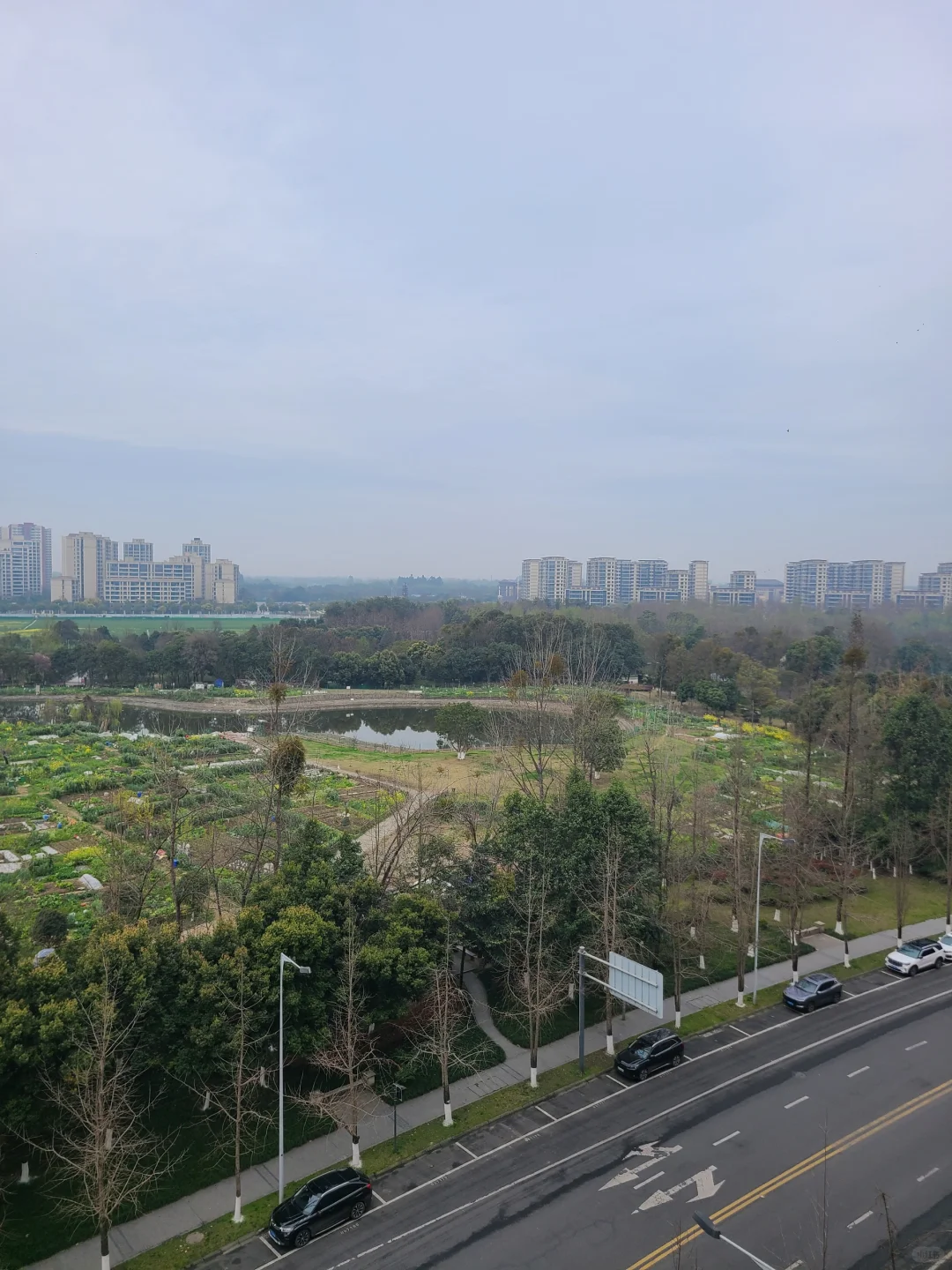 消失的森宇集团和散在角落的海棠湾