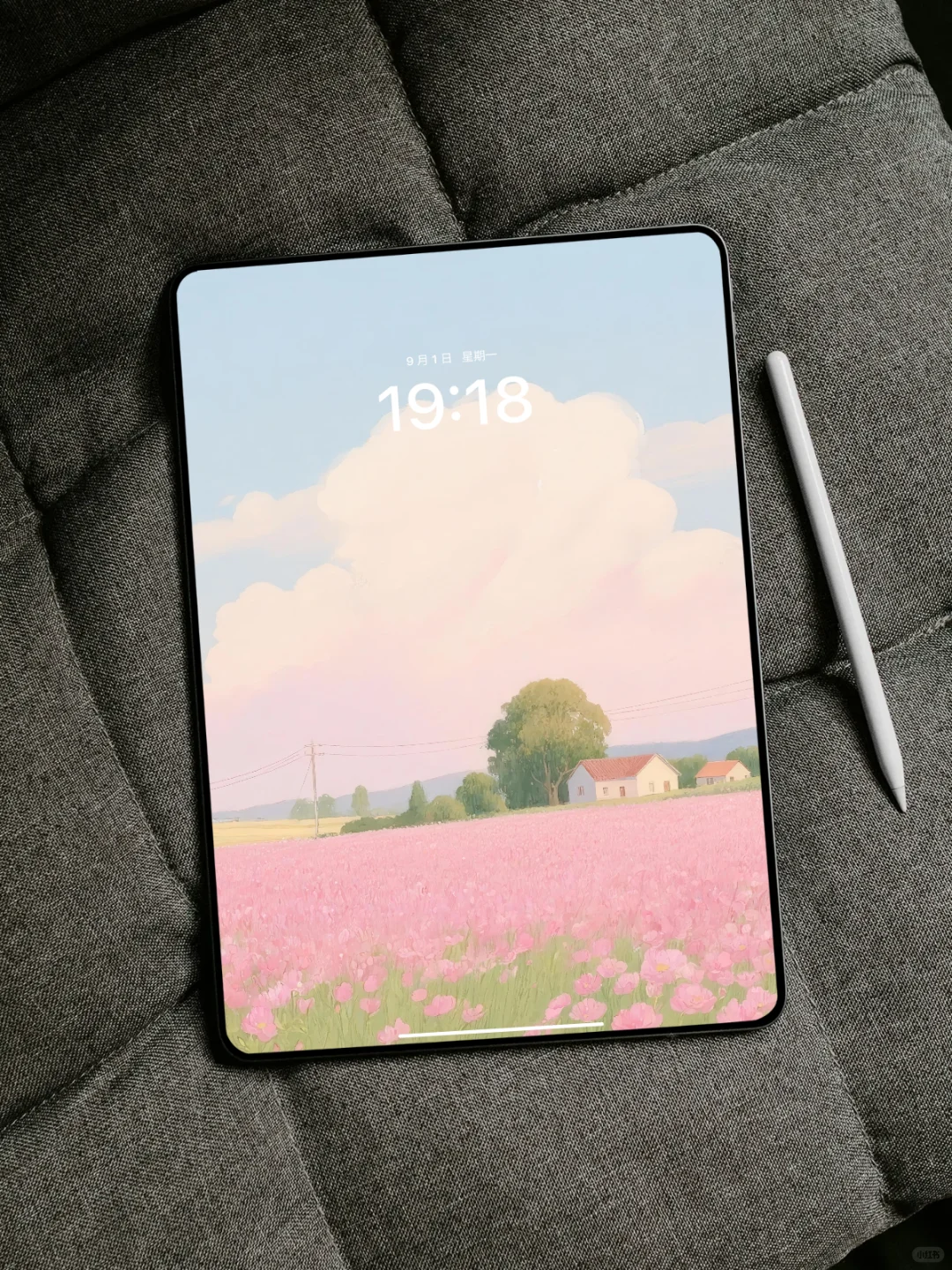 圆月照耀粉色花田|ipad壁纸