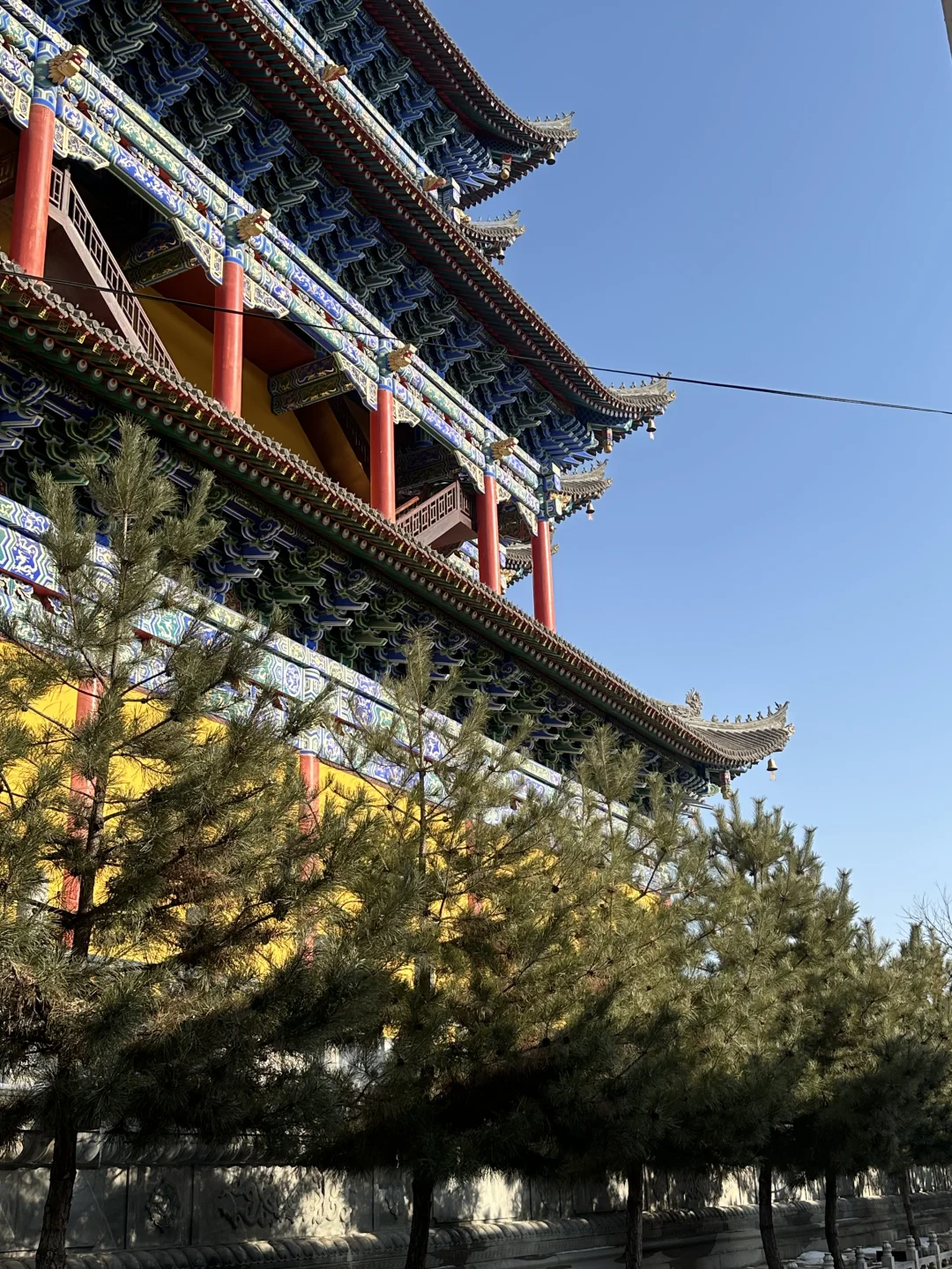 愿卿安，祝卿昭🧨