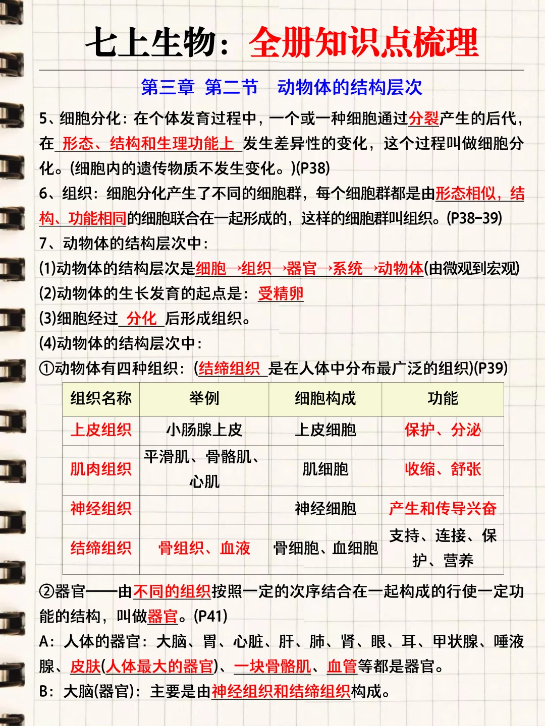初一进步最快的方式(没有之一)