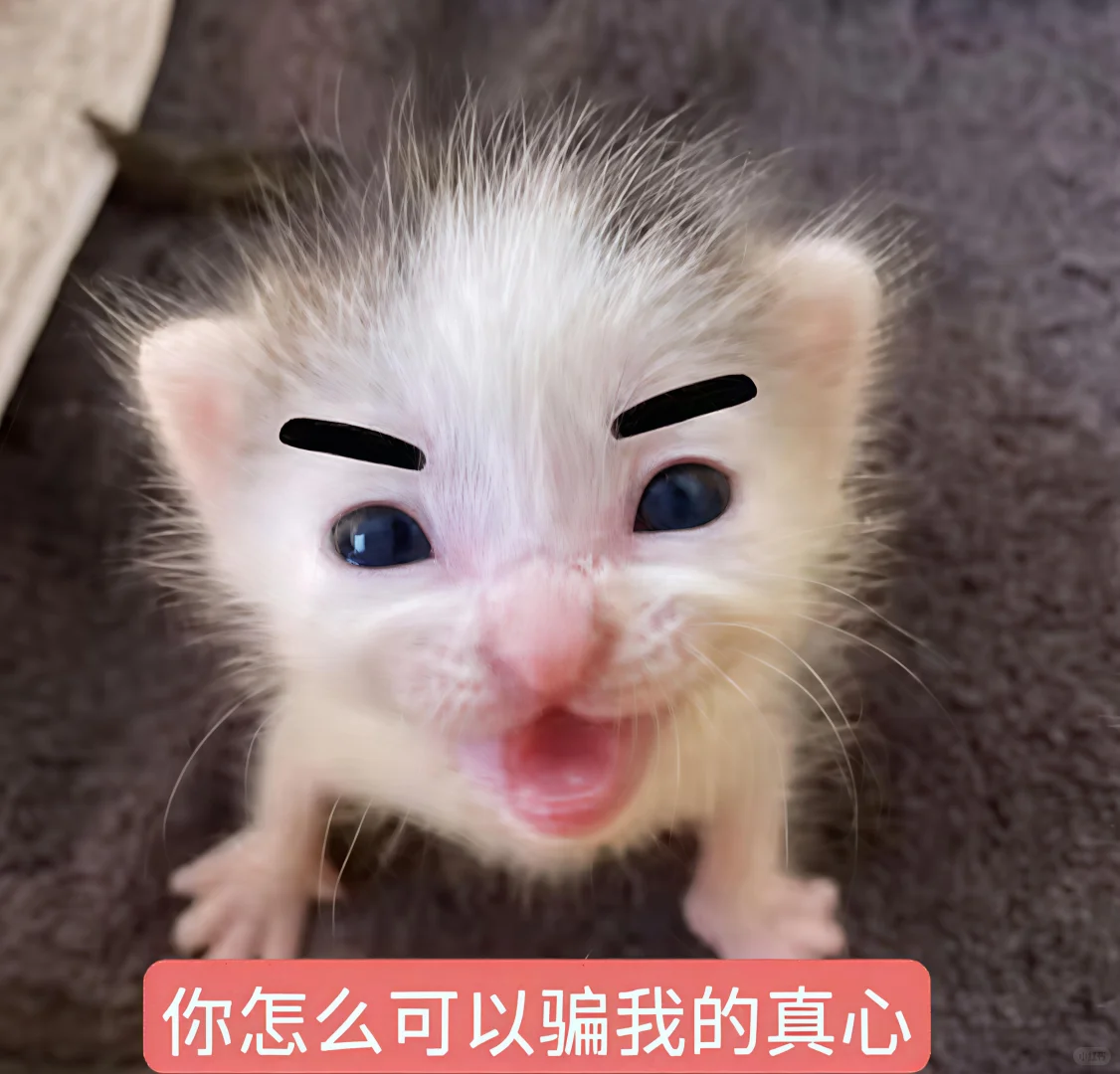 哈喽 有什么烦心事咪 ᳐ ᳐੭゙