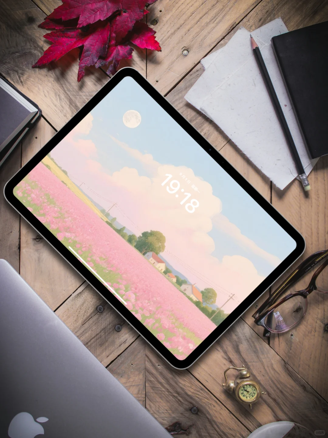 圆月照耀粉色花田|ipad壁纸